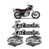 Adesivos Moto Suzuki Intruder 125 Cromado 2002/ Alto Relevo
