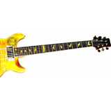 Adesivos Passaros Prs Santana
