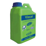 Adit arg Viacal 3