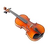 Adultos Violino Conjunto Especial
