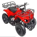 Adv Super Mini Quadriciclo