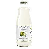 Água De Coco Integral Villa Piva 1L