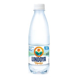 Água Lindoya Verão 300ml Kit Com 12 Unidades