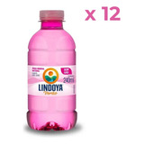 Água Lindoya Verão Sem Gás Rosa 240ml Kit Com 12 Unidades