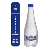 Água Mineral Caxambu Sem Gás 500ml Kit Com 12 Unidades