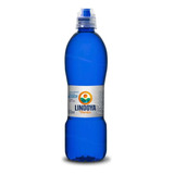 Água Mineral Lindoya Fitness Garrafa 510 Ml 12 Unidades