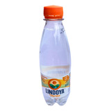 Água Mineral Lindoya Verão 300ml Com Gás Kit 12 Unidades