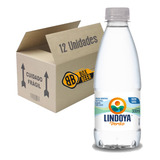 Água Mineral Lindoya Verão Sem Gás Garrafa 300ml Fardo C 12u