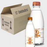 Água Mineral Lindoya Verão Speciali 500 Ml Com Gás 12 Unid