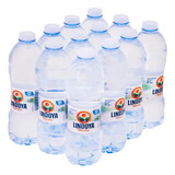 Água Mineral Natural Sem Gás Lindoya Verão Fardo C 12 510ml