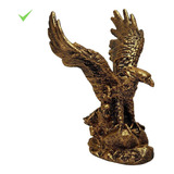 Aguia Dourada Da Sabedoria Estatua Decorativa Resina 17 5cm Cor Dourado