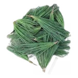 Agulha De Pinheiro 250