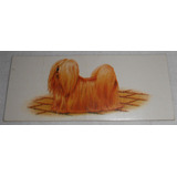 Apso