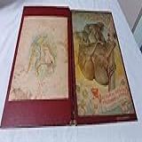 Album Das Magicas Figurinhas