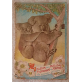 Álbum Das Mágicas Figurinhas De Animais Do Mundo Inteiro