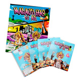 Álbum De Pipa Maravilhas Do Ar Capa Dura 20 Figurinhas