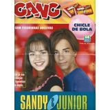 Álbum Figurinha Chicle Bola Gang Sandy Junior Incompleto