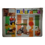 Album Figurinha Super Naturama