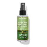 Alcool Eucalyptus Spearmint 88ml
