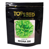 Alface Lisa Regina 500