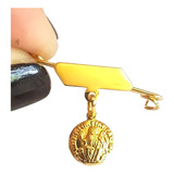 Alfinete Placa E Pingente