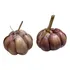 Alho Roxo Nacional N 6 Graudo Inteiro Cx 10kg