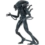 Alien Warrior 1986 Blue