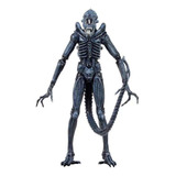 Aliens Xenomorph Warrior Series