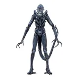 Aliens Xenomorph Warrior Series