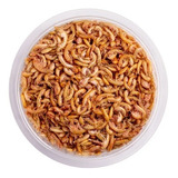 Alimento Aqua Peixe Para