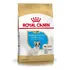 Alimento Royal Canin Breed Health Nutrition Bulldog Francés Para Cão Filhote De Raza Pequena Sabor Mix De 2.5 Kg