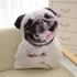 Almofada De Simulação Multicriativa Para Cães, Brinquedos De