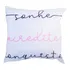 Almofada Decorada Motivacional Sonhe Acredite Conquiste 40cm
