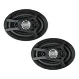 Alto Falante Subwoofer 6x9