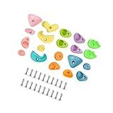 Amagogo Kit De Escalada Para Parede De Com Parafusos De Montagem Suporte Para Escalada Pedras De Escalada Brinquedos