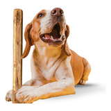 Amicus Brinquedo Cachorro Pet