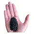 Amora Preta Gigante  Blackberry - Rubus Sementes Para Mudas