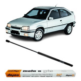 Amortecedor Mola Gas Tampa