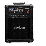Amplificador Guitarra Sheldon Gtm5000 Cubo 25 Wrms Multiuso Cor Preto 110v/220v