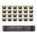 Amplificador Nca Pwm300 70v