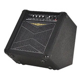 Amplificador O neal Ocb