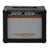 Amplificador Para Guitarra 30w