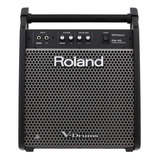 Amplificador Roland Pm 100