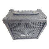 Amplificador Sheldon Bt40 Para