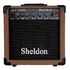 Amplificador Sheldon Gt1200 Combo 15w Marrom Kkkh