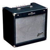 Amplificador Staner Para Instrumentos