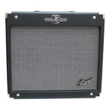 Amplificador Staner Para Instrumentos