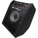 Amplificador Warm Music 110mbs