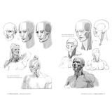 Anatomia Artistica 7