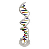 Anatomia Dupla Helice Dna